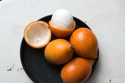 Garcinia gardneriana